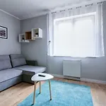 Studio Cicha